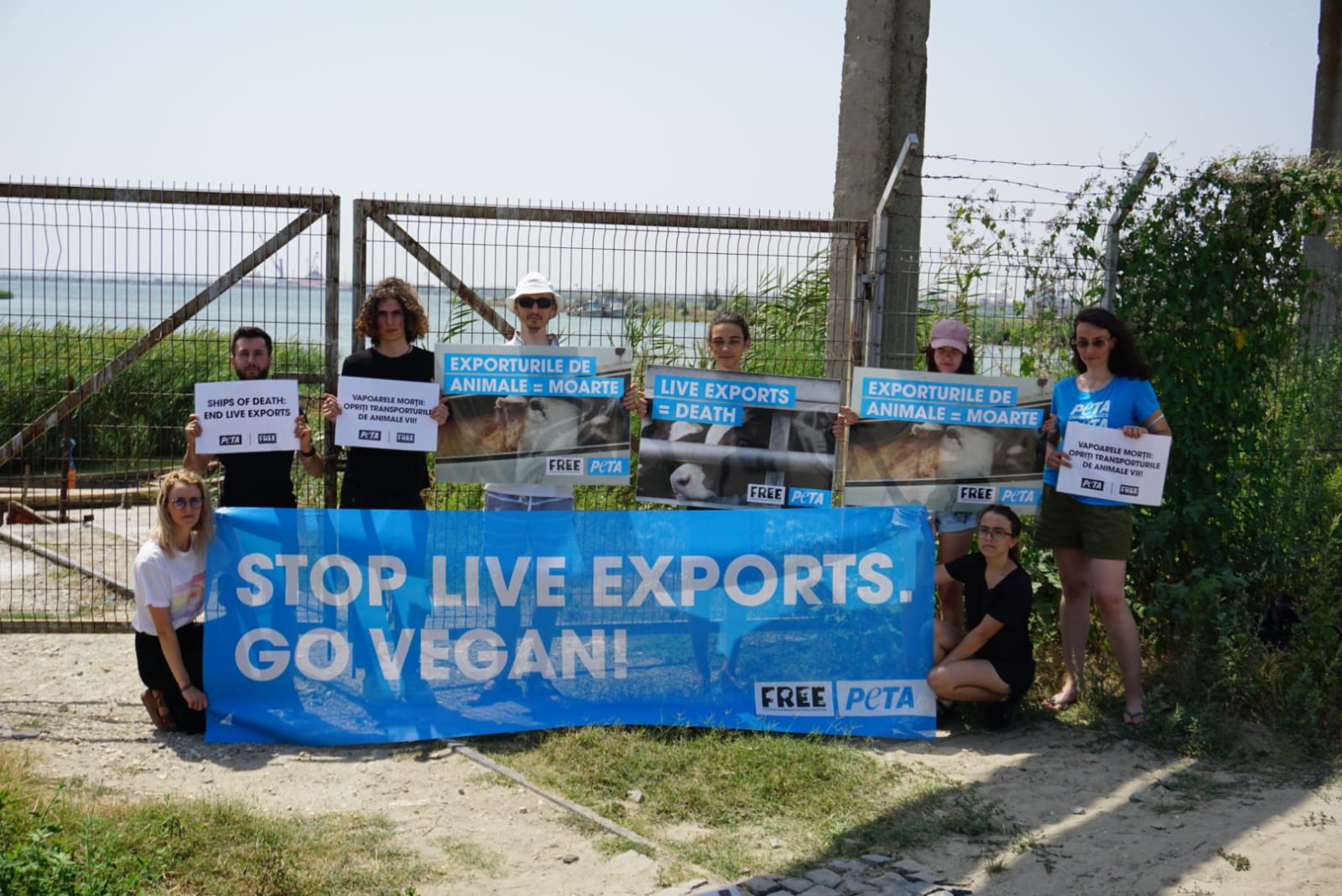 CONSTANŢA: Protest împotriva transporturilor de animale vii, în Portul Midia