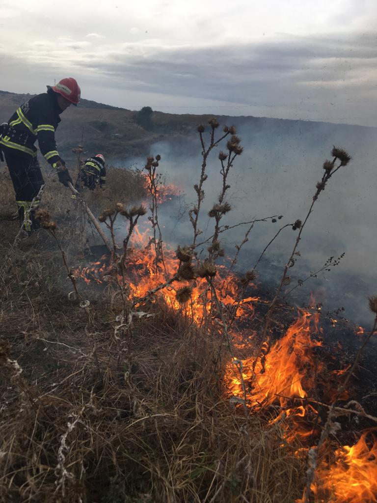 Județul TULCEA/FOTO: 20 de hectare de vegetație uscată au fost cuprinse de flăcări