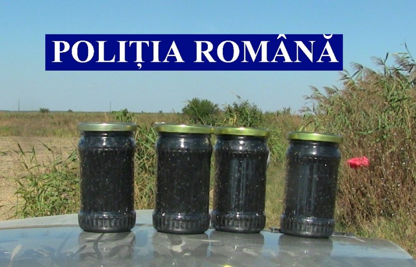 TULCEA: Sute de kilograme de pește și icre negre, confiscate de la suspecții de braconaj depistați din Delta Dunării