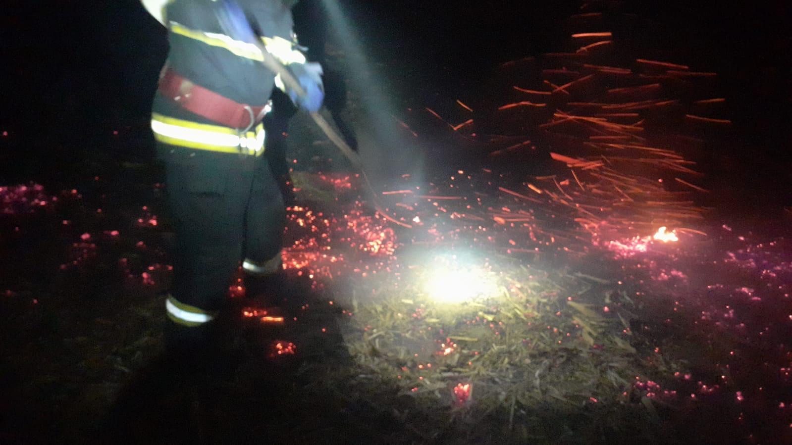 TULCEA: Incendiu la Smârdan! Au ars aproximativ 50 de hectare de mirişte