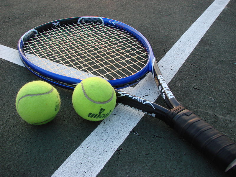 Monica Niculescu şi Gabriela Ruse s-au calificat în sferturi la US Open