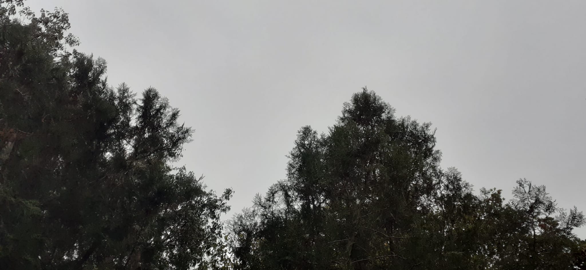 DOBROGEA. Vremea rămâne închisă. Meteorologii anunță burniță