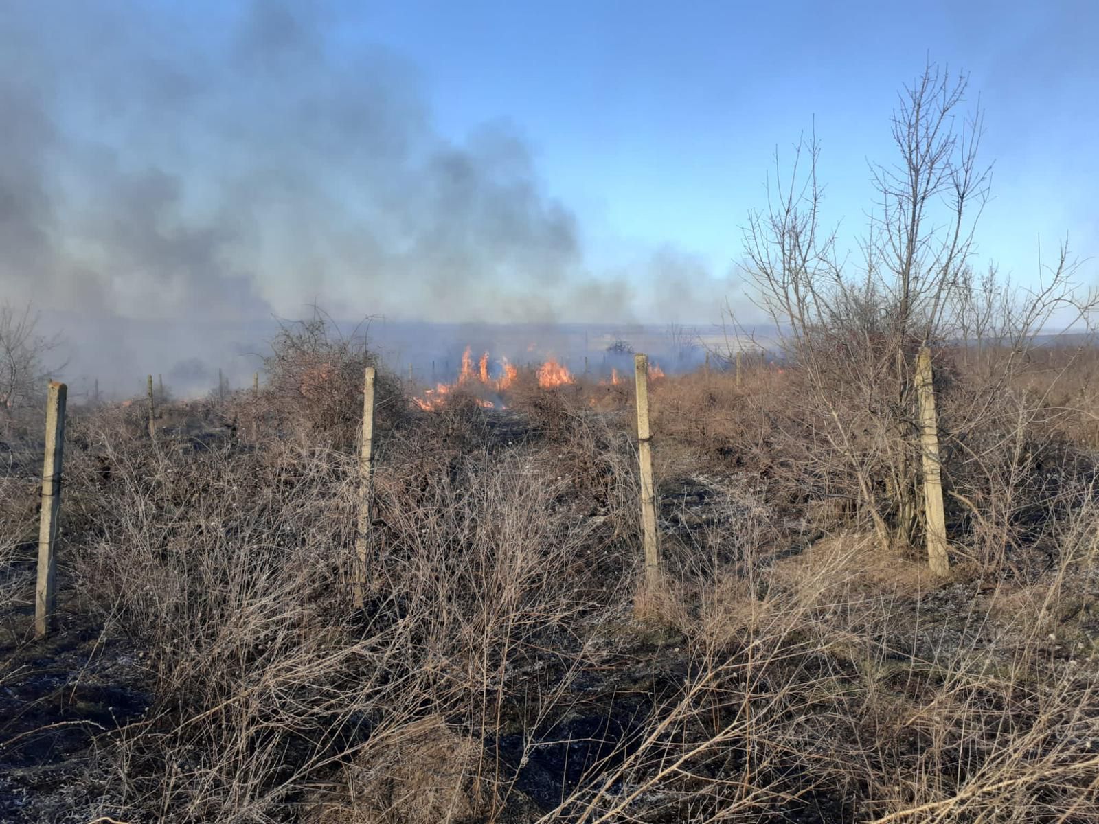 TULCEA: Circa 20 de hectare de vegetaţie uscată, incendiate în apropierea municipiului