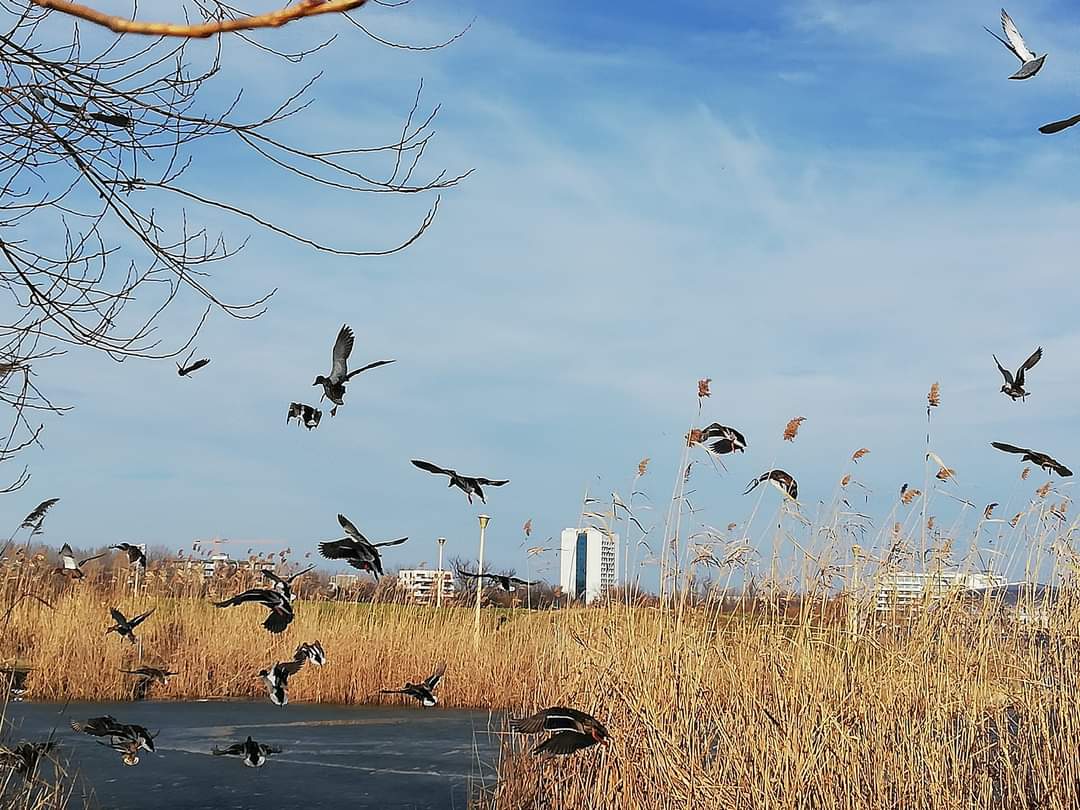 Vreme caldă în Dobrogea și pe litoral