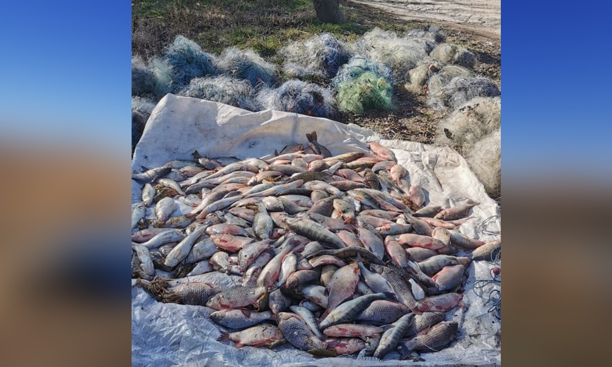 FOTO: Braconaj piscicol pe lacul Sinoe. Două persoane s-au ales cu dosare penale