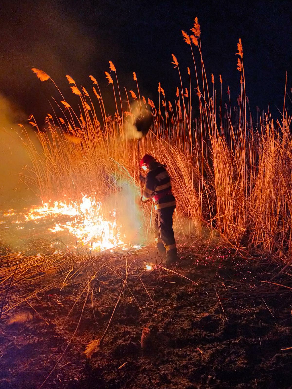 TULCEA: 45 de hectare cu stuf, incendiate în mai puţin de 24 de ore