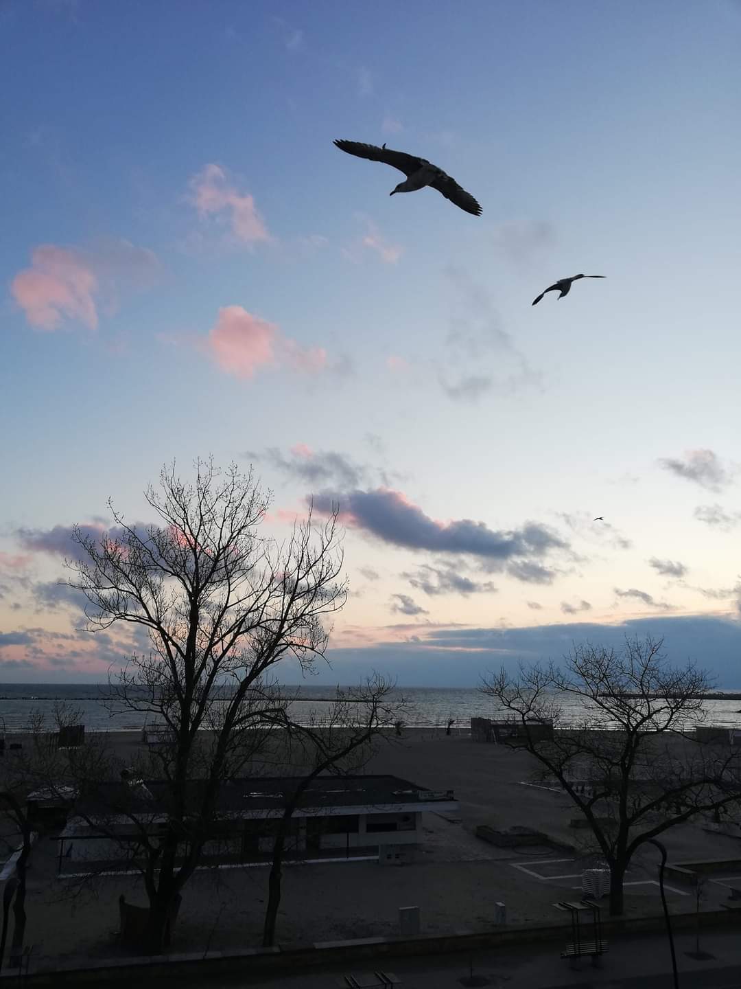 Temperaturi normale în Dobrogea și pe litoral