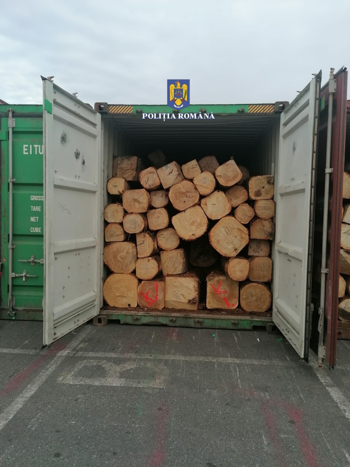 CONSTANȚA: Lemn de stejar exportat cu acte nereale ca fiind cherestea, de 100.000 euro, confiscat în portul maritim