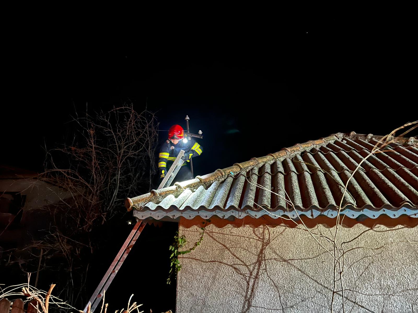 TULCEA/FOTO: Zi dificilă pentru pompieri. Incendii care au cuprins locuințe și anexe gospodărești. Mai multe animale au pierit în flăcări