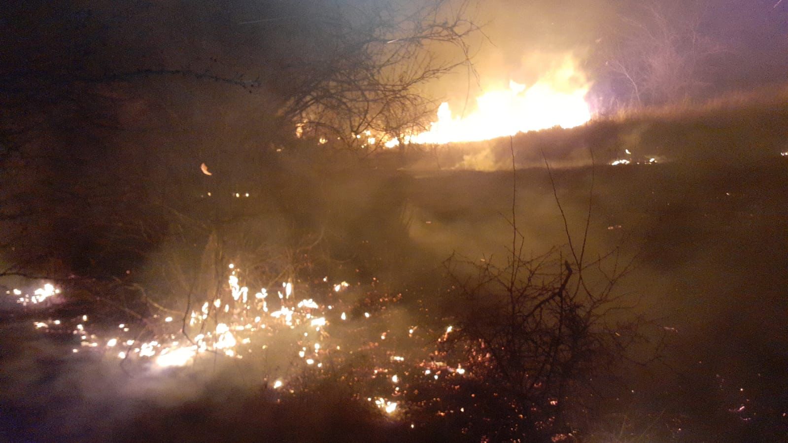 ARBDD a sesizat Poliţia din cauza incendiilor din Deltă