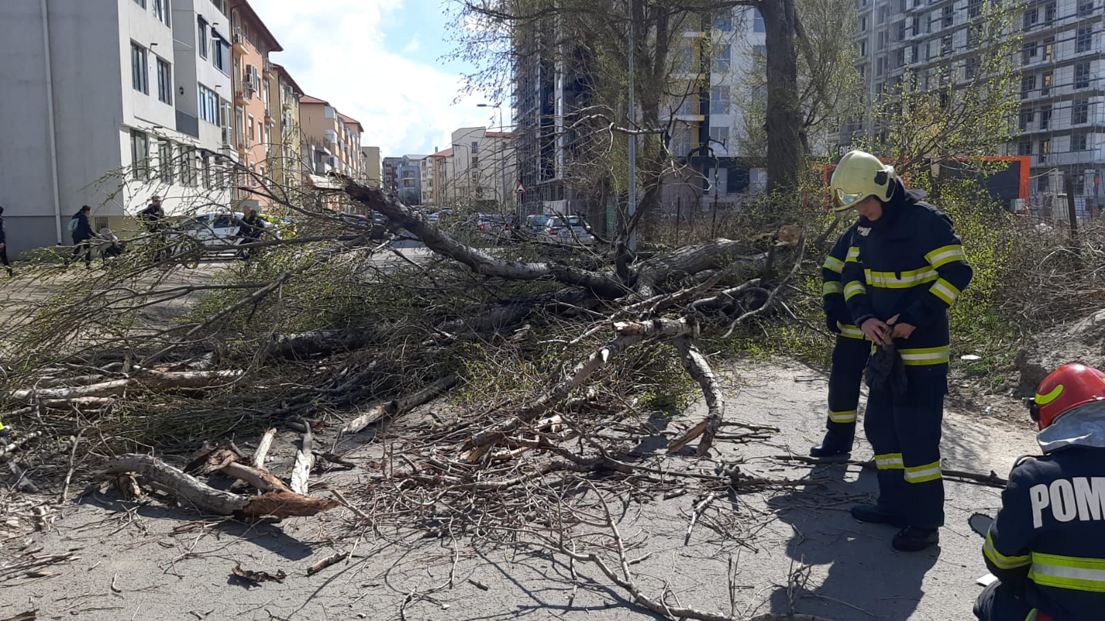 FOTO. Copac CĂZUT peste mașini pe o stradă din Constanța