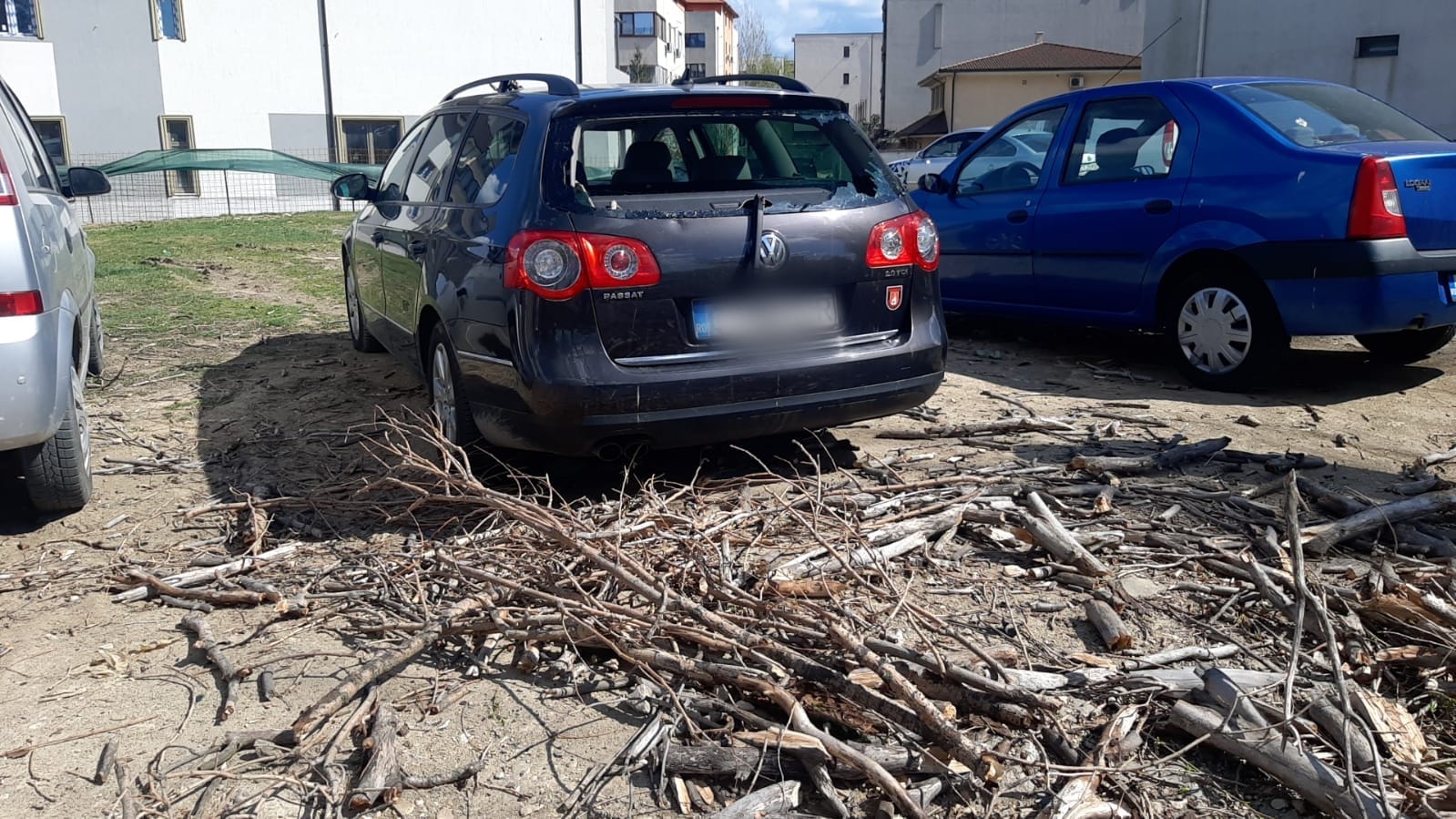 Județul CONSTANȚA: Copaci căzuți peste mașini, trafic rutier afectat