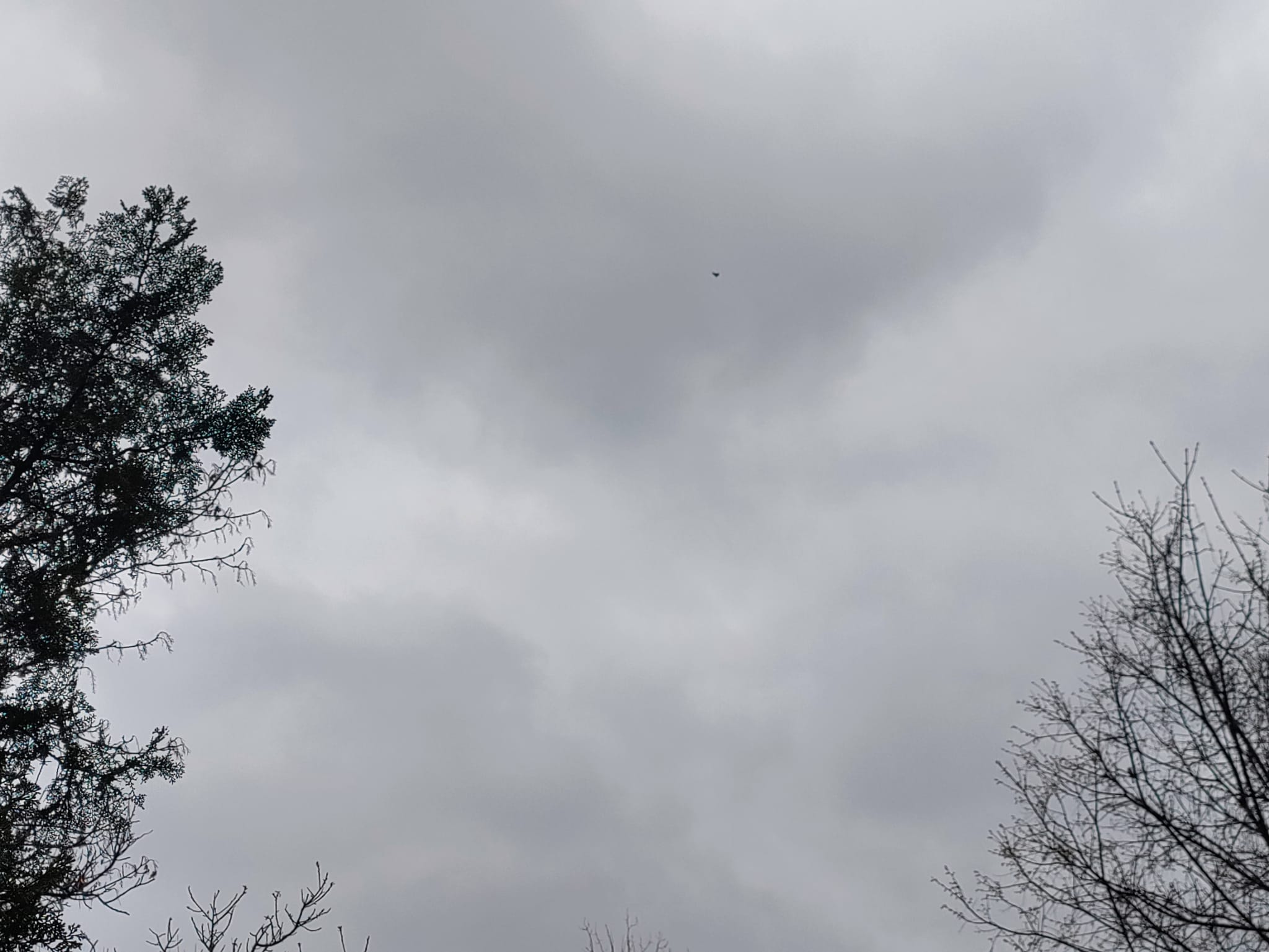 Vremea va fi instabilă în Dobrogea