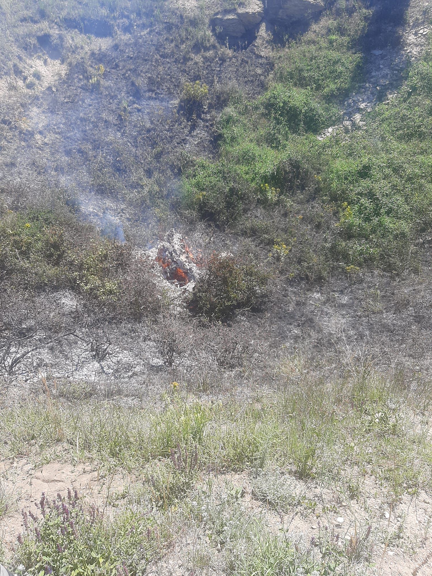 TULCEA: 60 de stupi de albine de albine au ars în urma unui incendiu