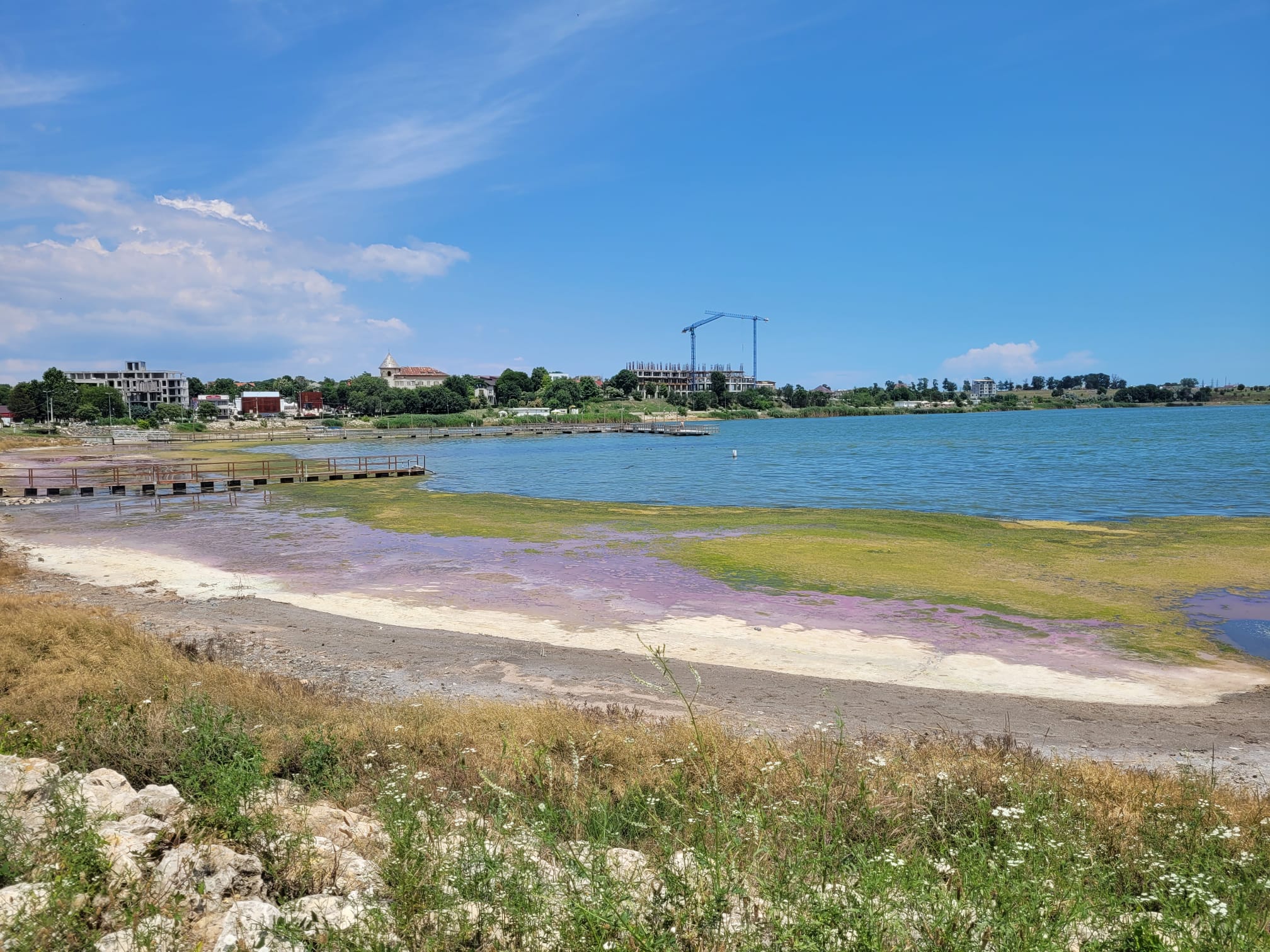 Fenomen deosebit la Techirghiol. Lacul a căpătat culoarea roz