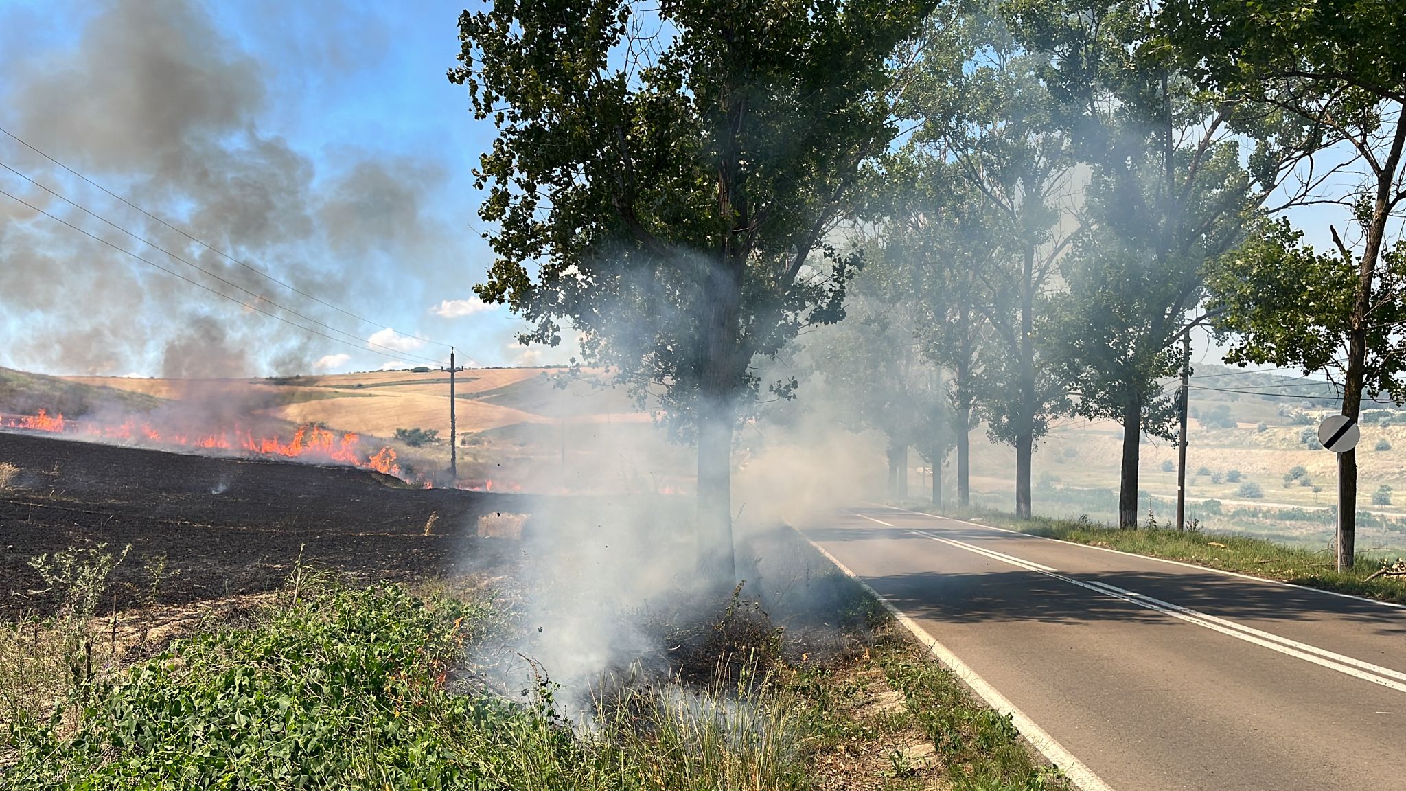 TULCEA: Circulaţie îngreunată pe DJ222C, din cauza unui incendiu de vegetaţie