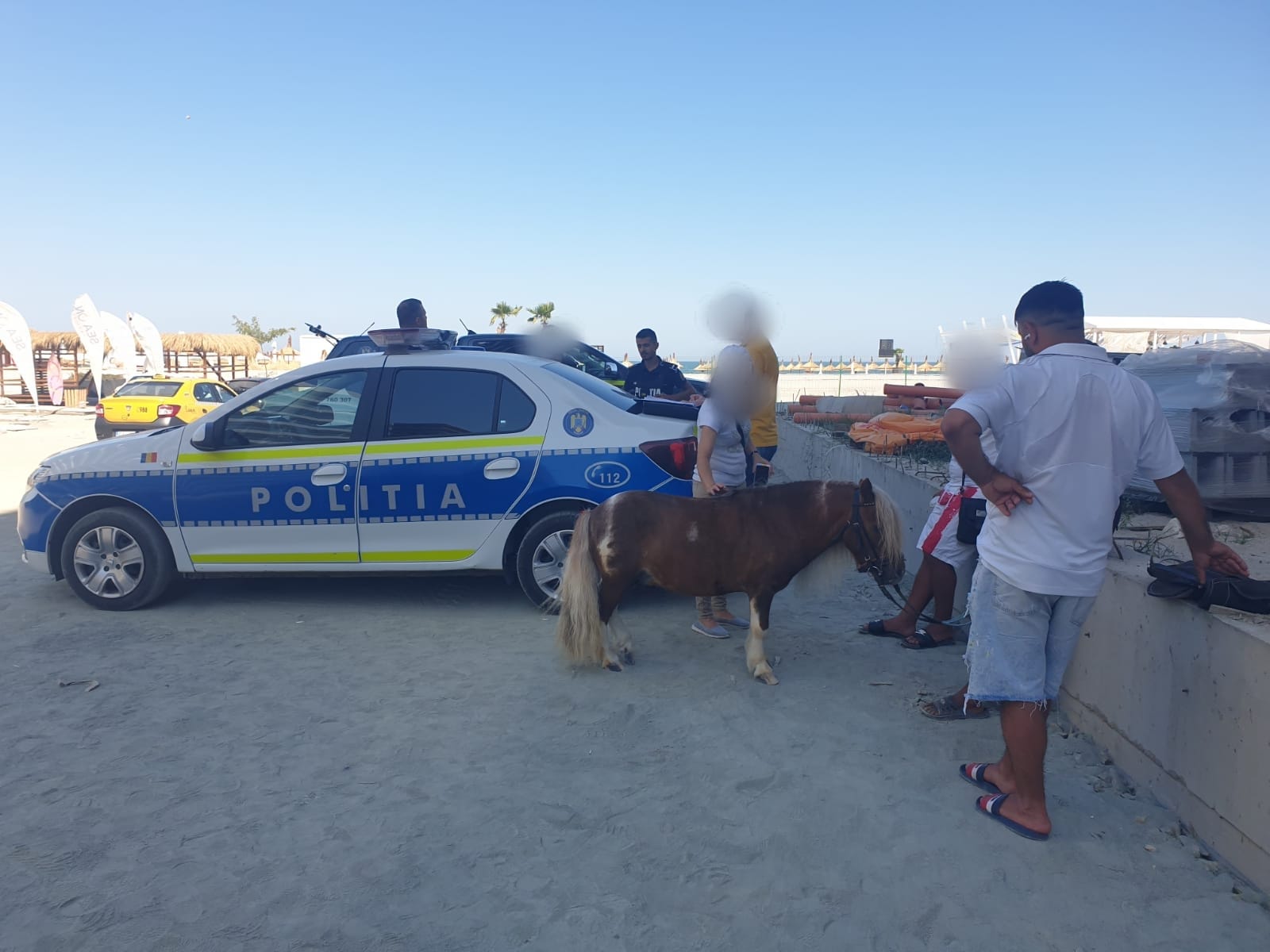 MAMAIA: Animale chinuite pentru profit. Ponei confiscați de polițiști