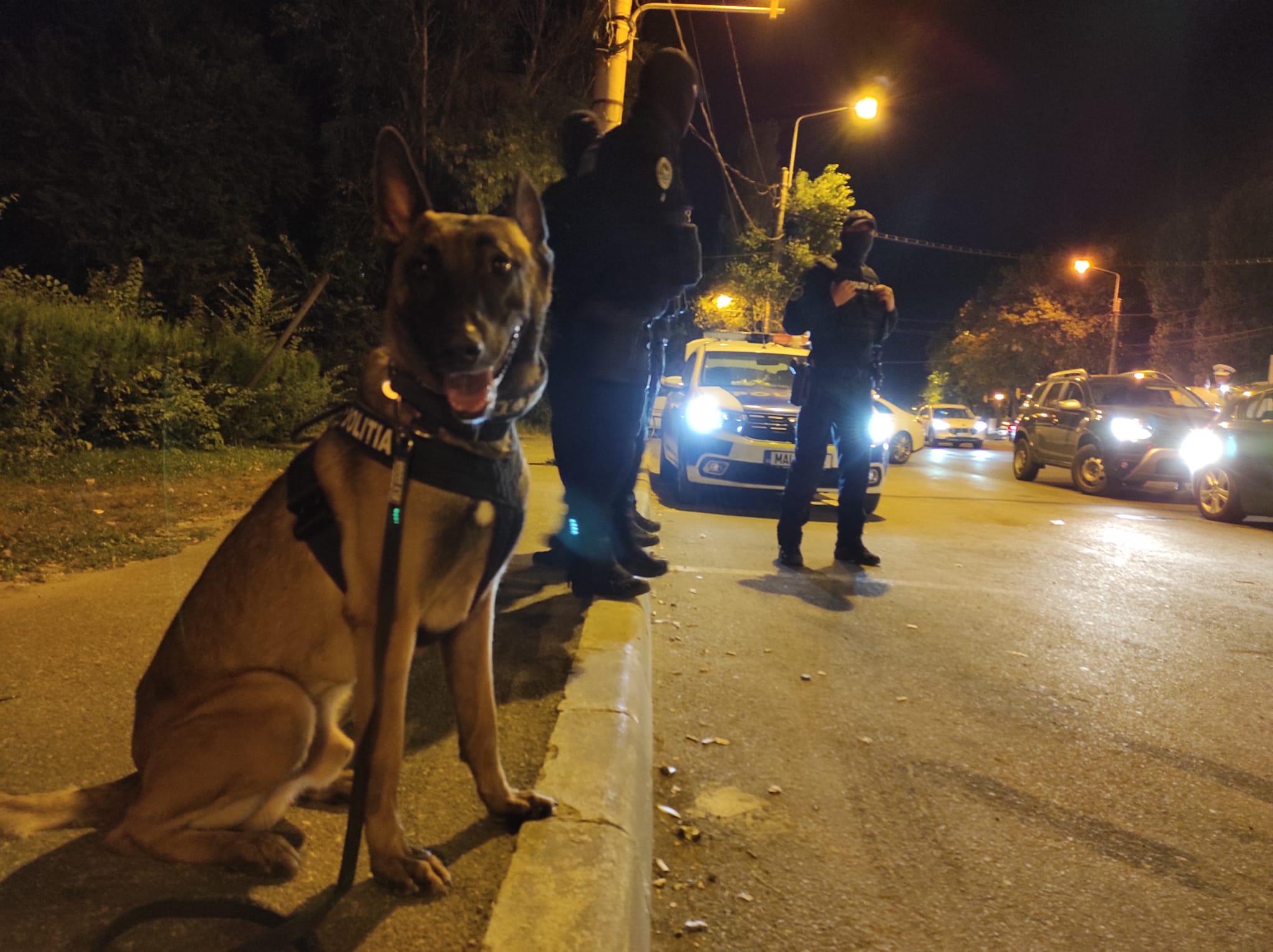 CONSTANȚA: O nouă razie a Poliției Rutiere. 15 șoferi drogați depistați într-o singură noapte