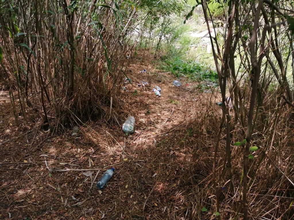 TULCEA: Acțiune de igienizare în zona ,,7 țevi”, respectiv zona Zaghen