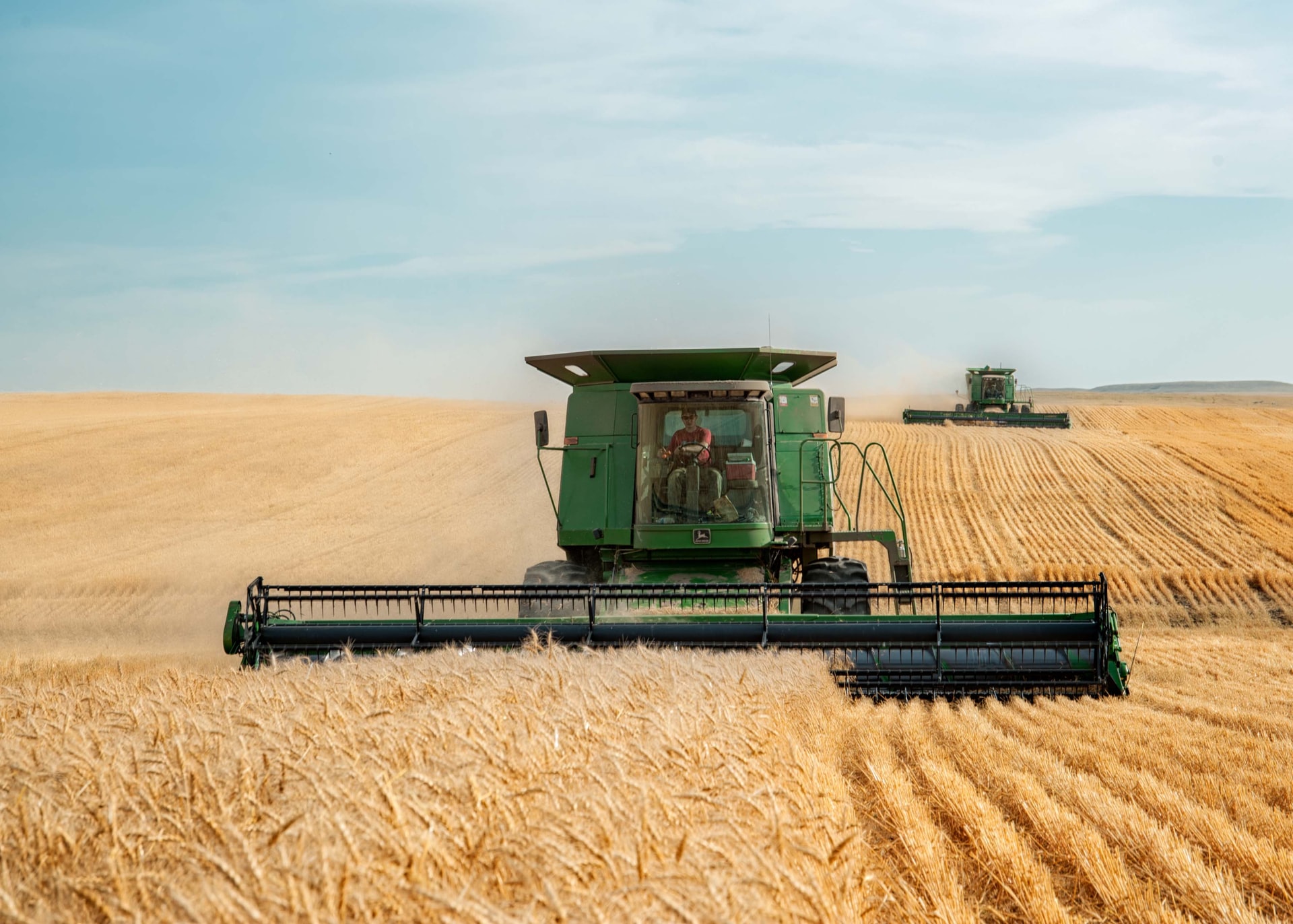 Producţia de grâu din acest an, cu 15% – 18% mai mică faţă de 2021