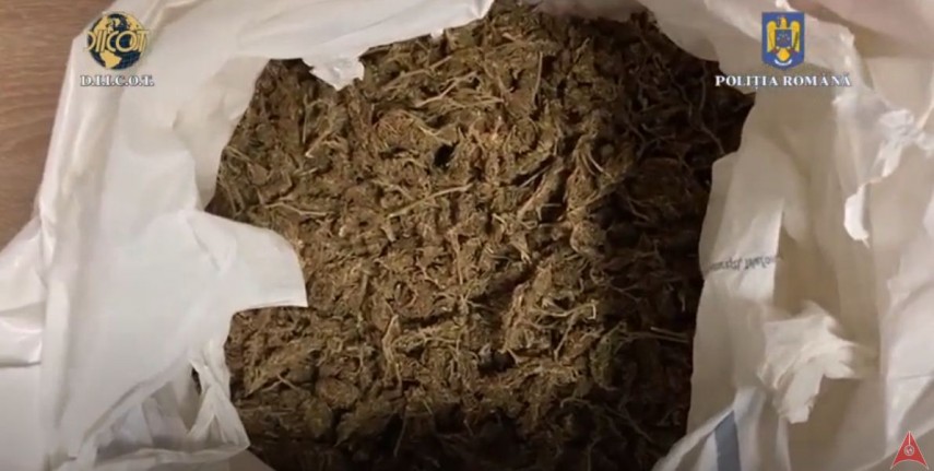 CONSTANȚA: Bărbat suspectat de trafic de cannabis, reţinut de poliţişti