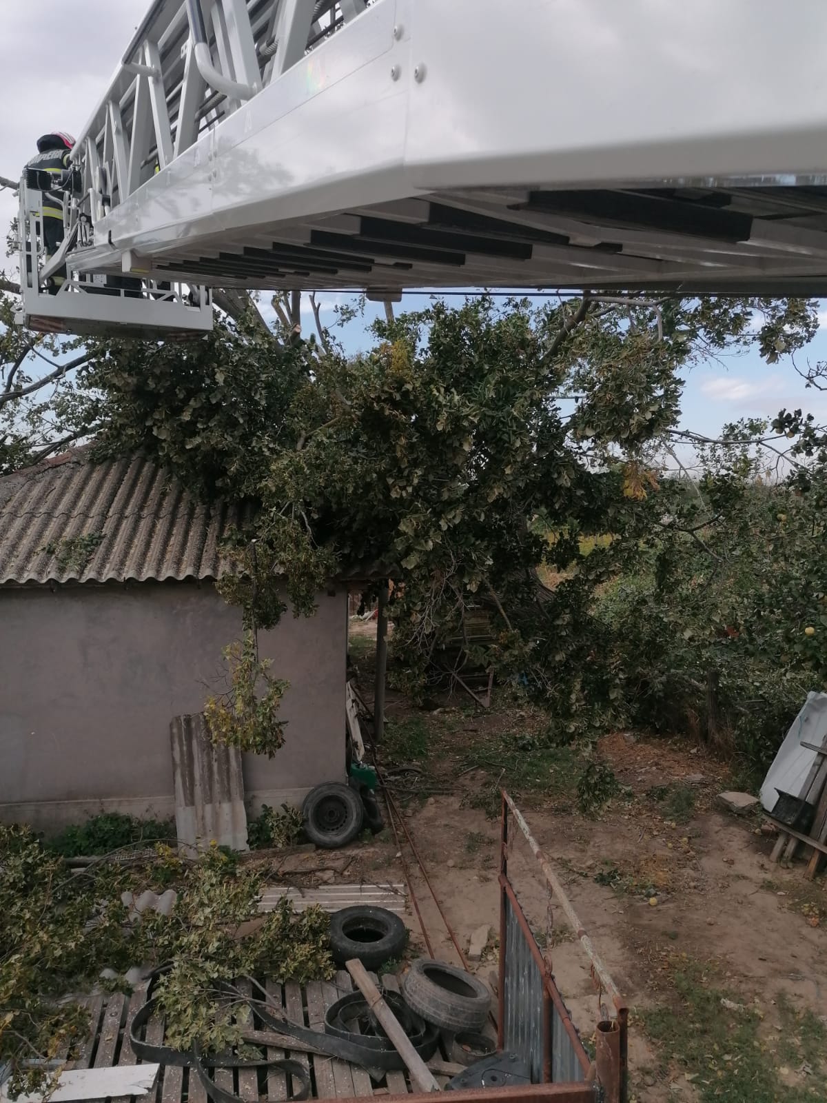 TULCEA: Pompierii ISU Delta au intervenit în municipiu și în județ, în urma codului galben de vânt