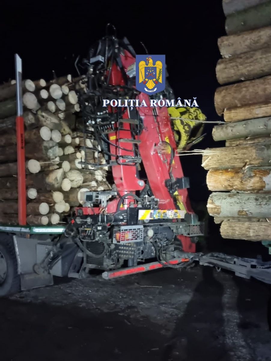 CONSTANȚA: 33 de percheziții în două dosare de evaziune fiscală, spălarea banilor, tăiere fără drept de arbori din fondul forestier naţional şi delapidare