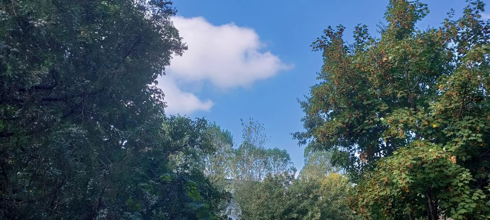Prognoza meteorologică în perioada Paștelui