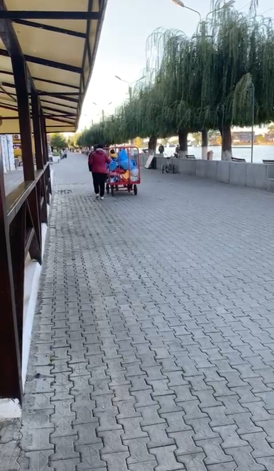 Caz incredibil! Un căruț foarte greu, cu oiște, tras zilnic de două angajate ale Poștei Române! Este singurul mijloc de transport al coletelor la Sulina