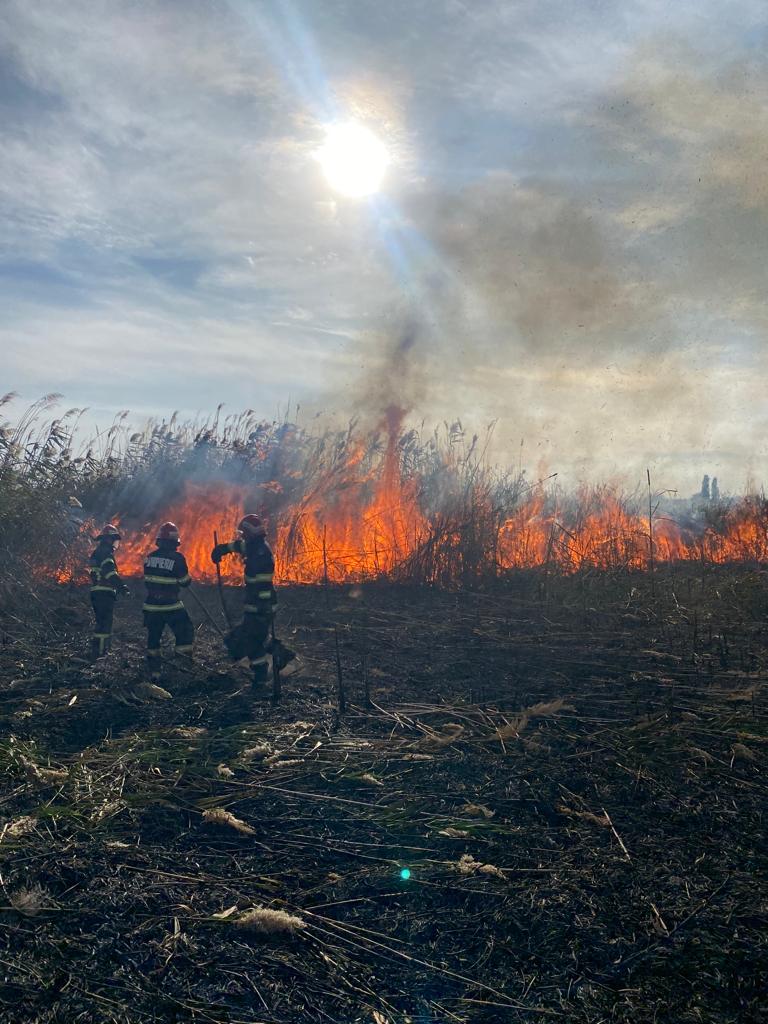 JURILOVCA: Aproximativ 10 ha de vegetaţie stuficolă a luat foc. Intervin pompierii staţiei Babadag – FOTO