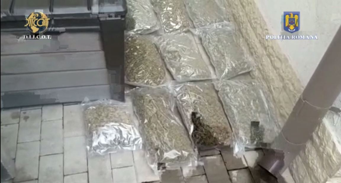FOTO/VIDEO. Flagrant și percheziții într-un dosar de trafic de droguri de risc și de mare risc