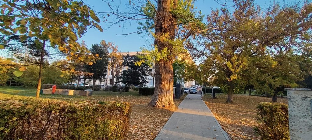 Parcul Arheologic RC