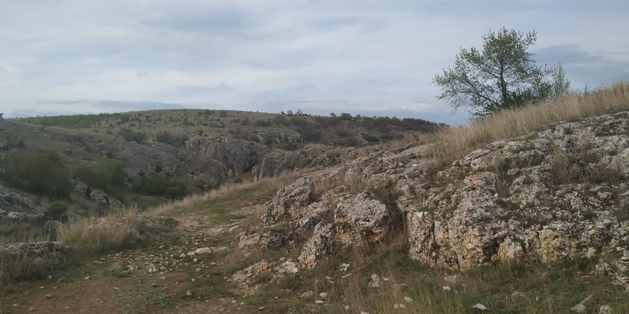 Povestea comunităţilor de germani din Dobrogea