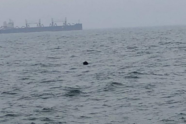 FOTO: Mină marină descoperită în apropiere de digul Portului Constanța