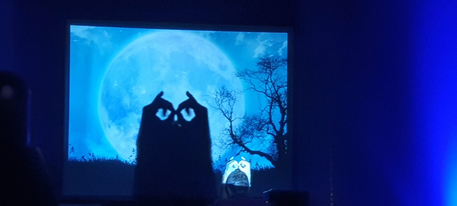 Teatru cu umbre pe scena Centrului Multifuncțional „Jean Constantin”