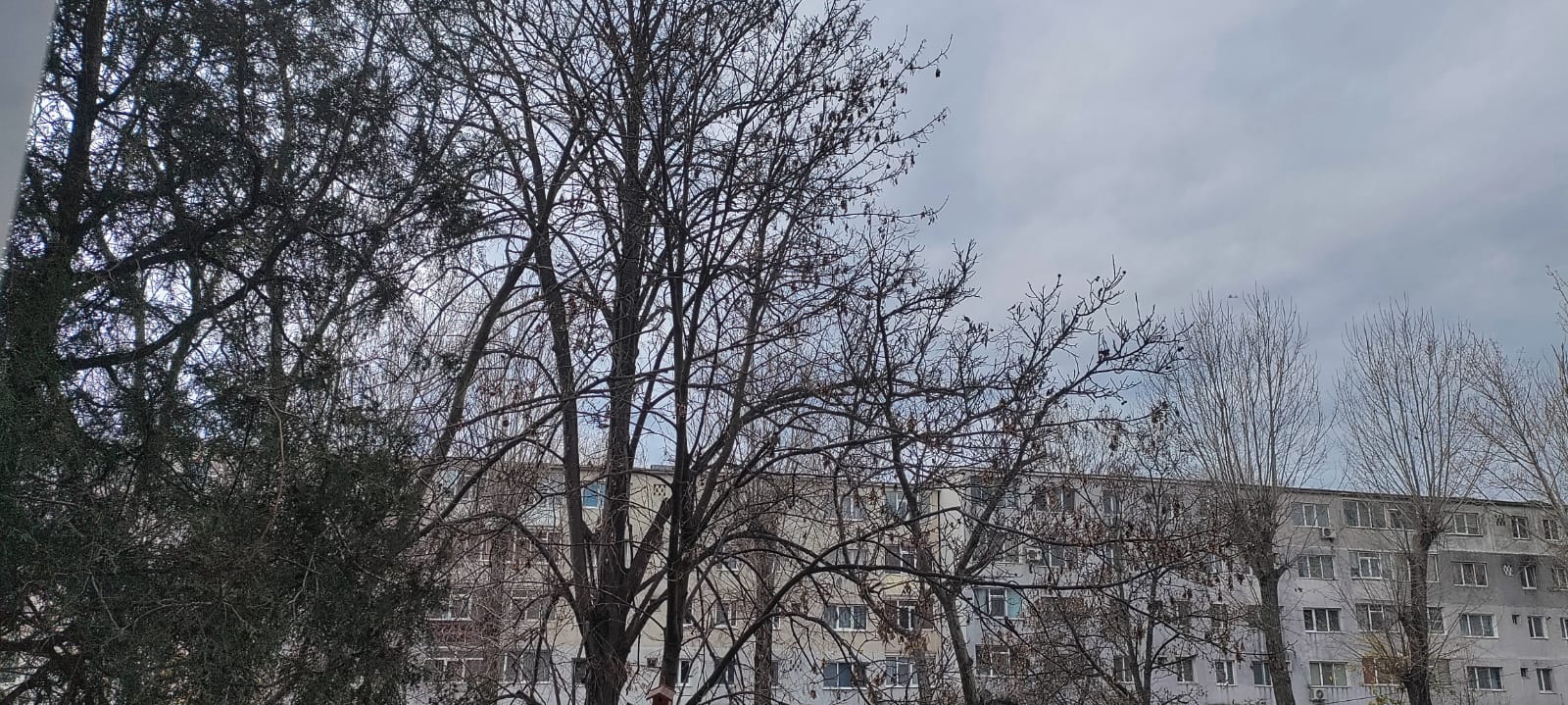 9 grade Celsius, maxima zilei în Dobrogea