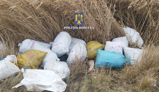 TULCEA: Aproximativ 300 kilograme de pește confiscate de polițiști de la suspecți de braconaj în Delta Dunării