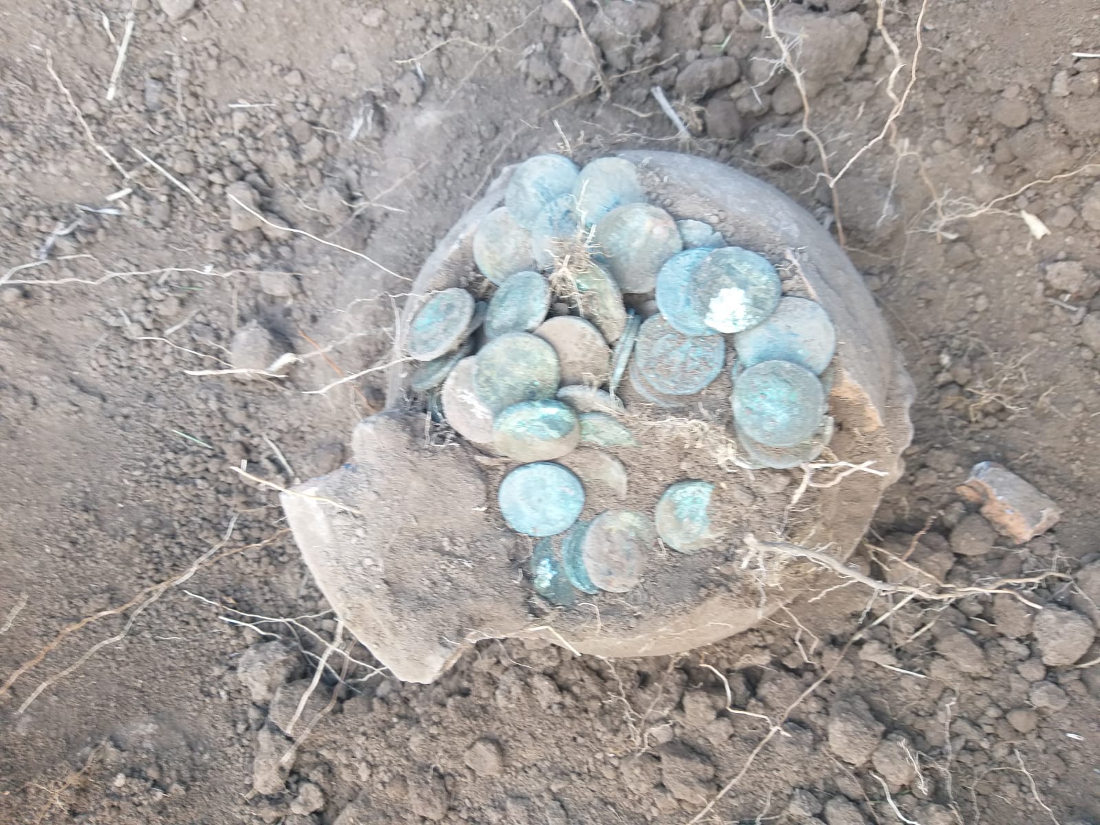 UPDATE: Descoperire uluitoare în Dobrogea! O ulcică plină cu monede a fost găsită de un localnic din Cobadin