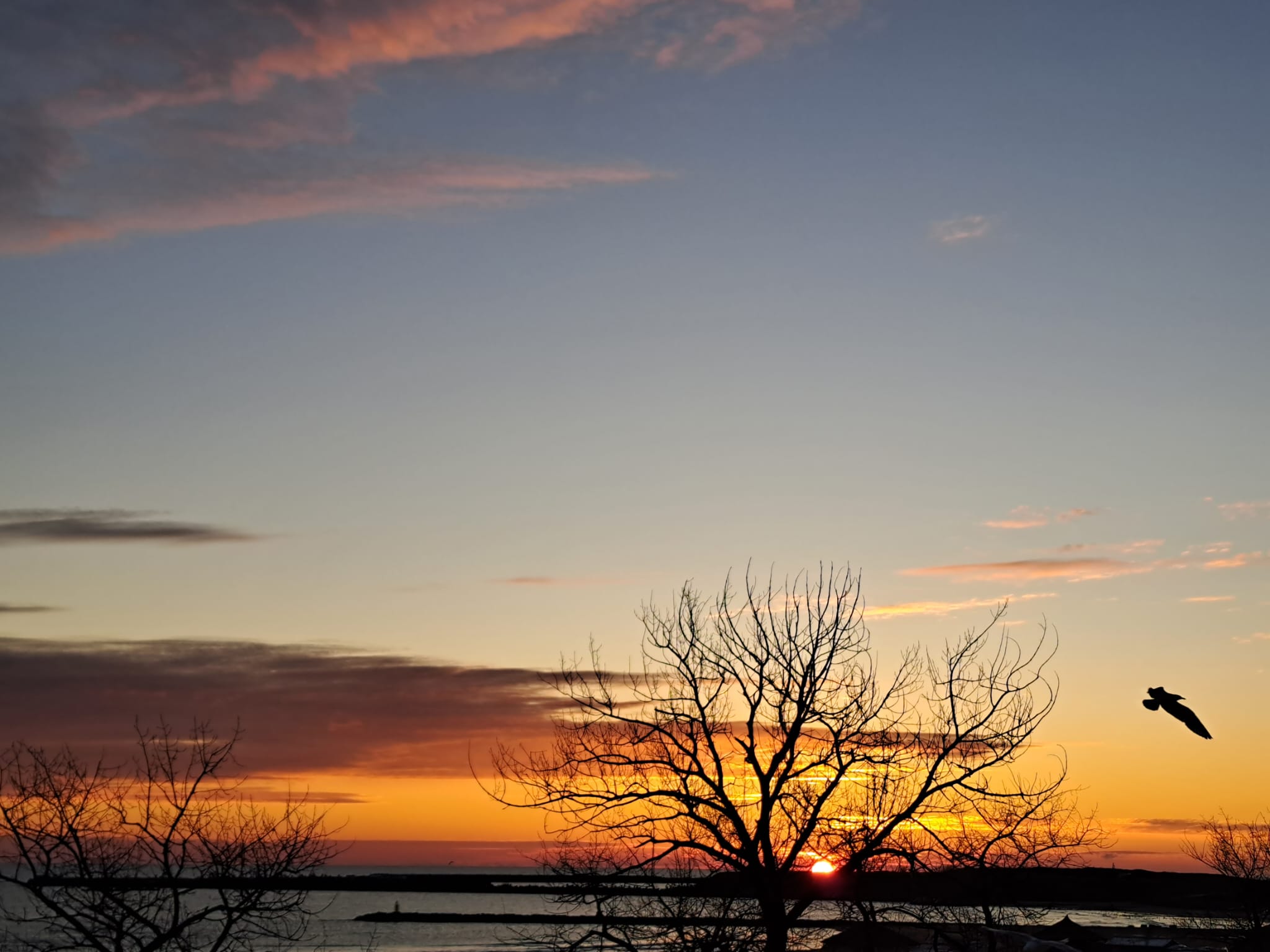 În Dobrogea, temperaturile vor indica 10 grade Celsius, iar vremea se încălzește în zilele ce urmează