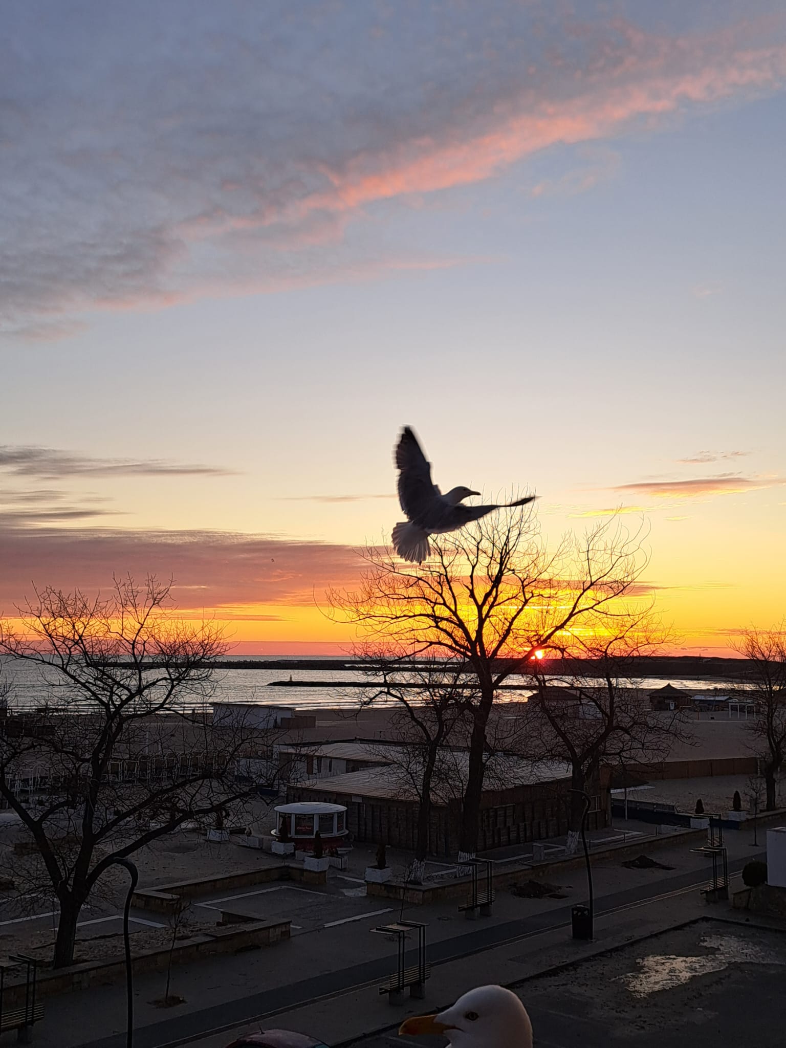 Vreme se încălzeşte în Dobrogea