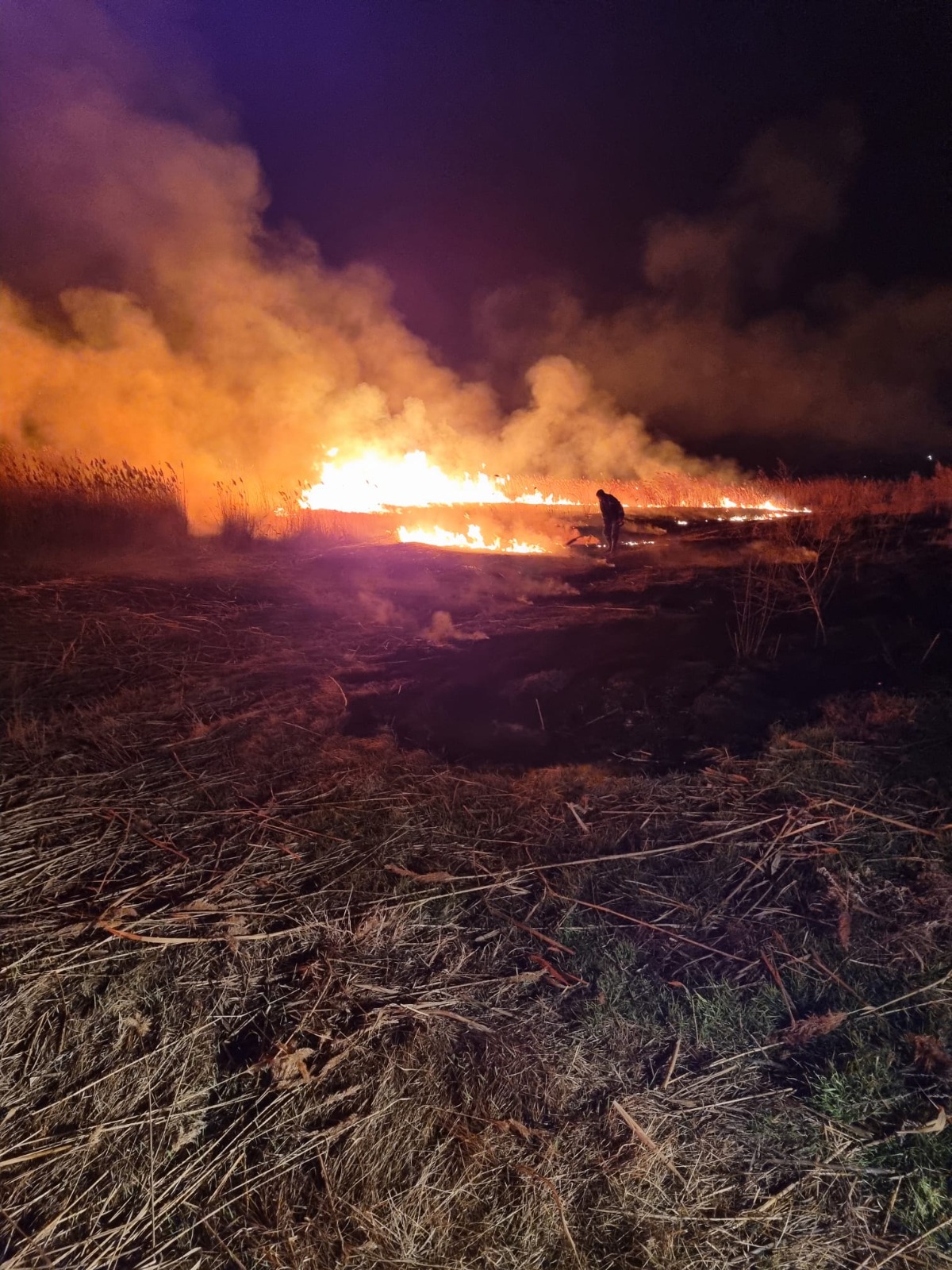 Județul TULCEA/VIDEO: 110 hectare de vegetație, în flăcări. Focul a fost pornit cu intenție