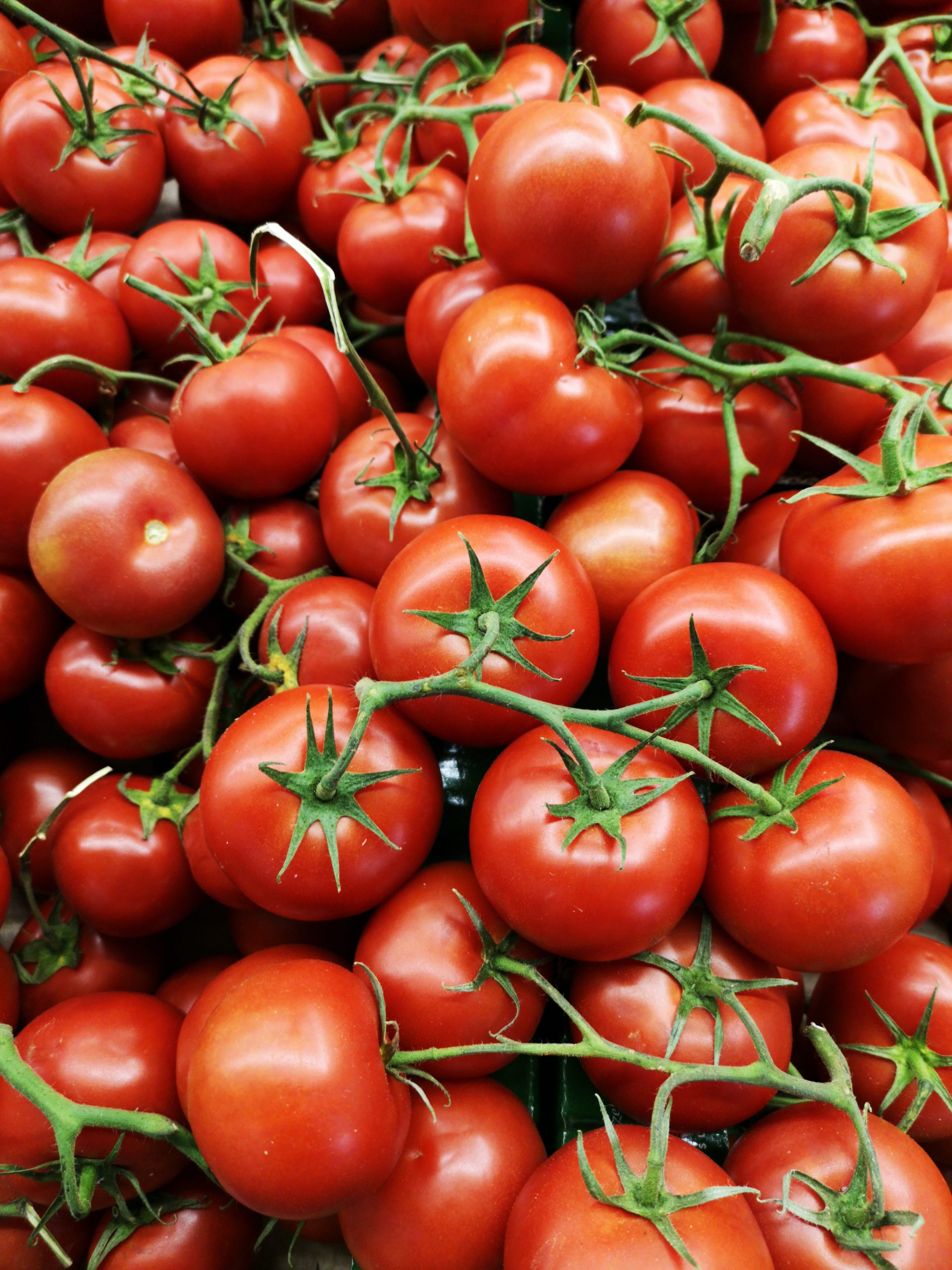 Ministerul Agriculturii și Dezvoltării Rurale a alocat sumele necesare pentru Programul “Tomata” 2023