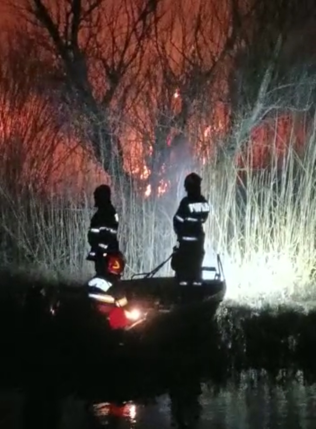 TULCEA: Suprafaţa afectată de incendii este de două ori mai mică decât cea de anul trecut
