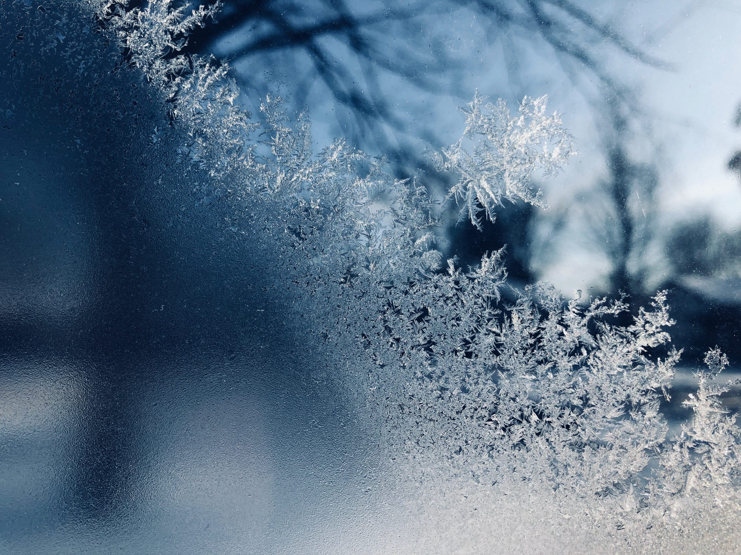 Vremea se menține rece, în Dobrogea. Temperaturile nu vor depăși 4 grade Celsius