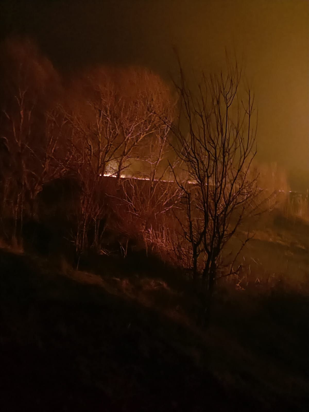TULCEA: Incendiu de vegetaţie în Delta Dunării, în apropiere de Sulina