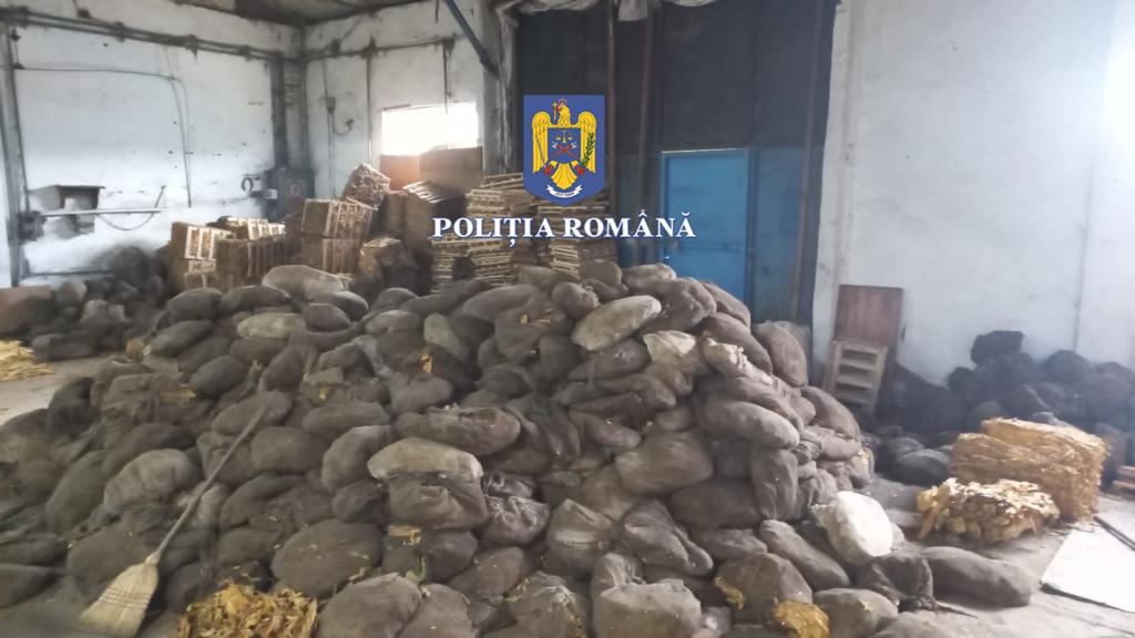 Comercianți de tutun, prelucrat în condiții mizere și vândut inclusiv online, prinși de polițiști
