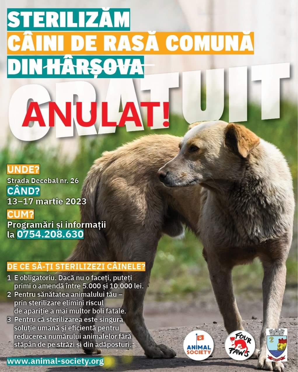 HÂRŞOVA: A fost anulată campania de sterilizări gratuite a animalelor de rasă comună
