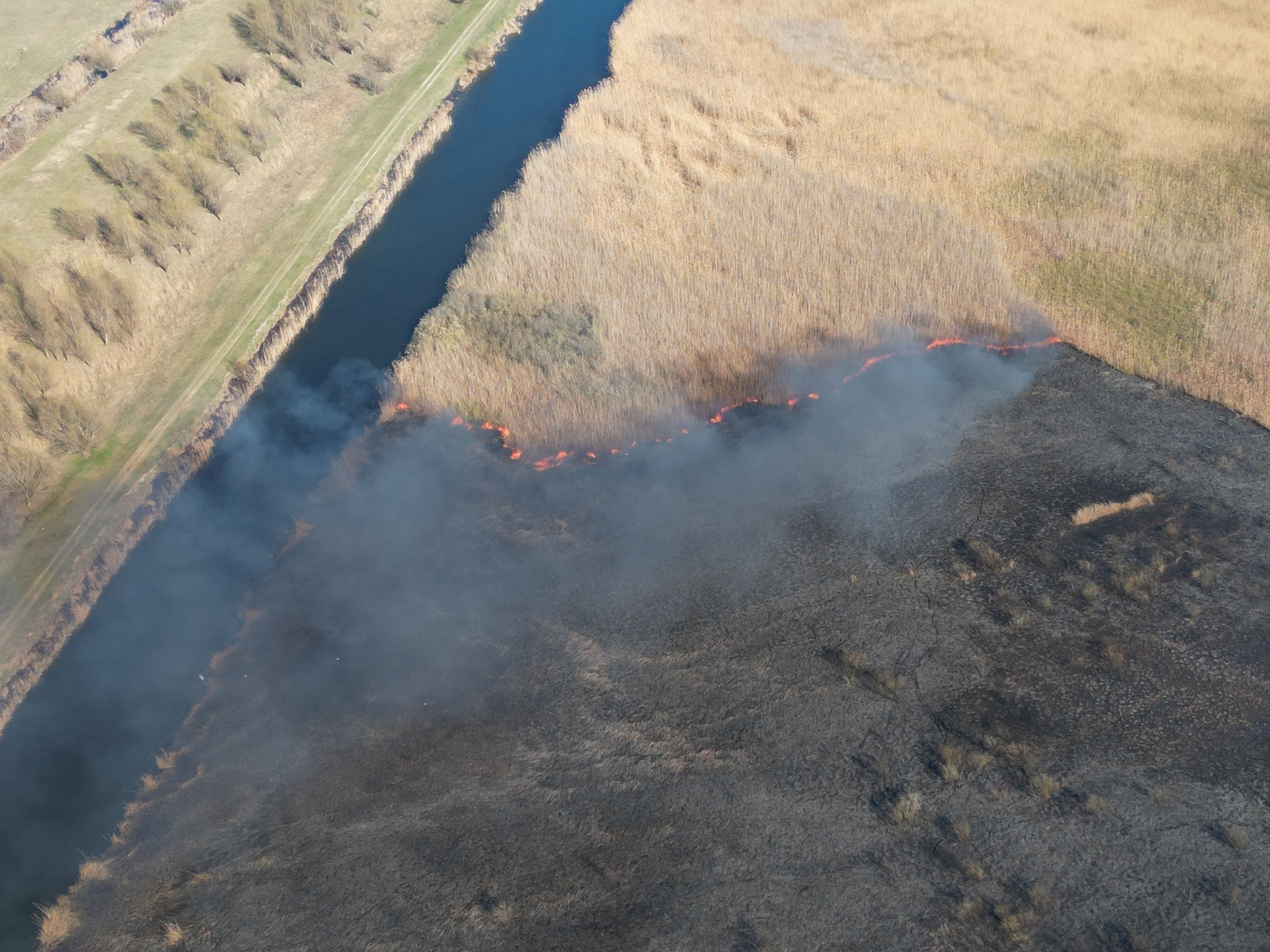 ARBDD face apel la locuitorii Deltei, să se gândească la consecințe atunci când vor să incendieze necontrolat vegetaţia uscată