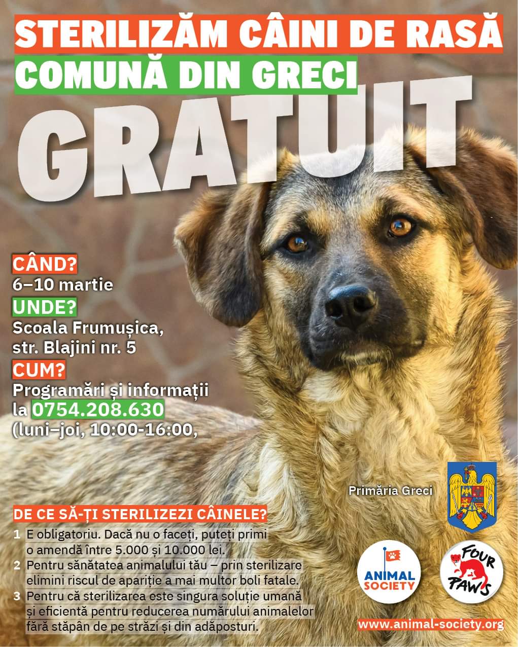 Judeţul CONSTANŢA: Campanii gratuite de sterilizare a animalelor de rasă comună