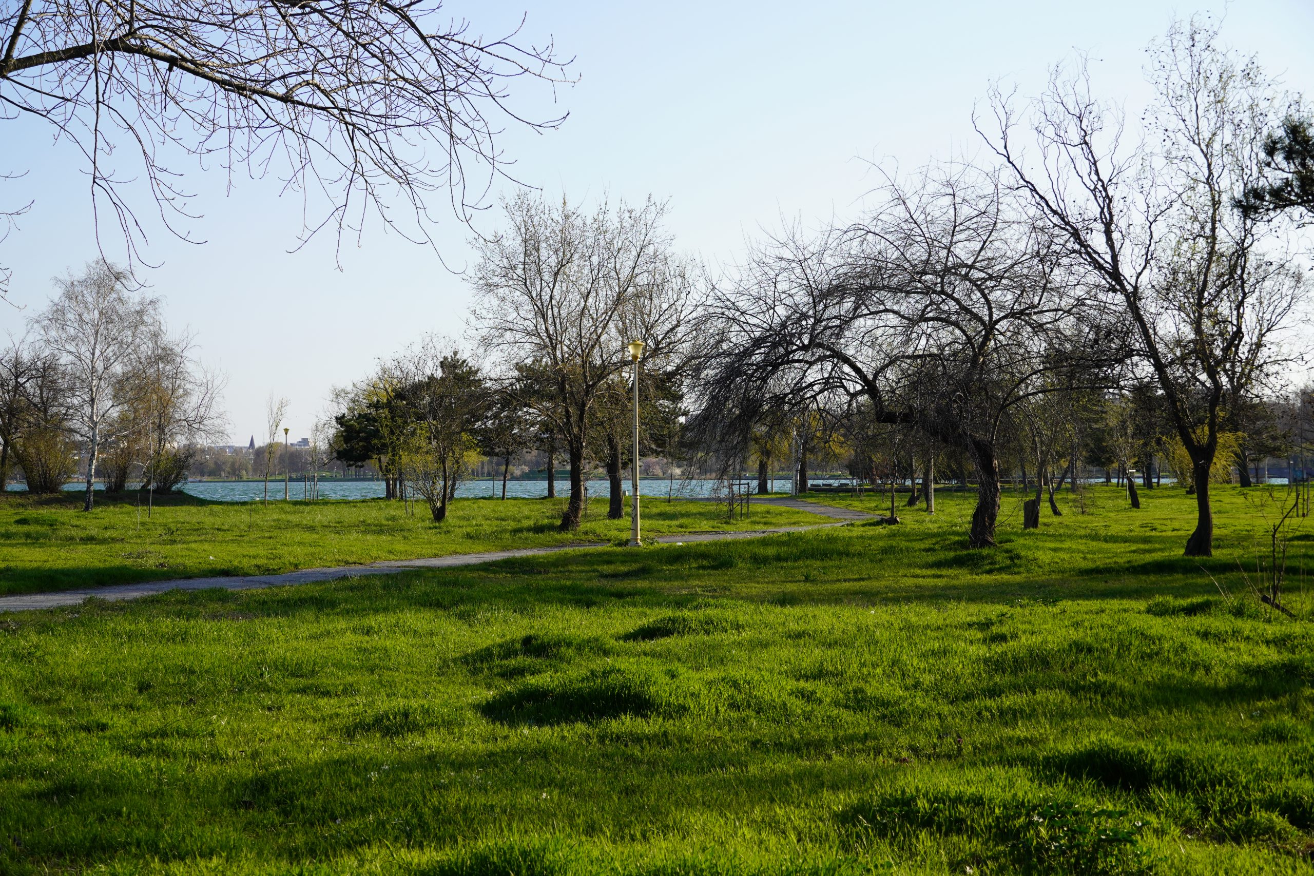 Primăria Constanţa promite creșterea suprafețelor de spațiu verde şi crearea de păduri urbane